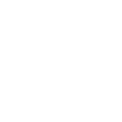 cleaner-icon_1